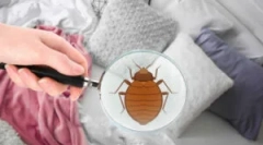 Kolik lůžkových chyb žije?